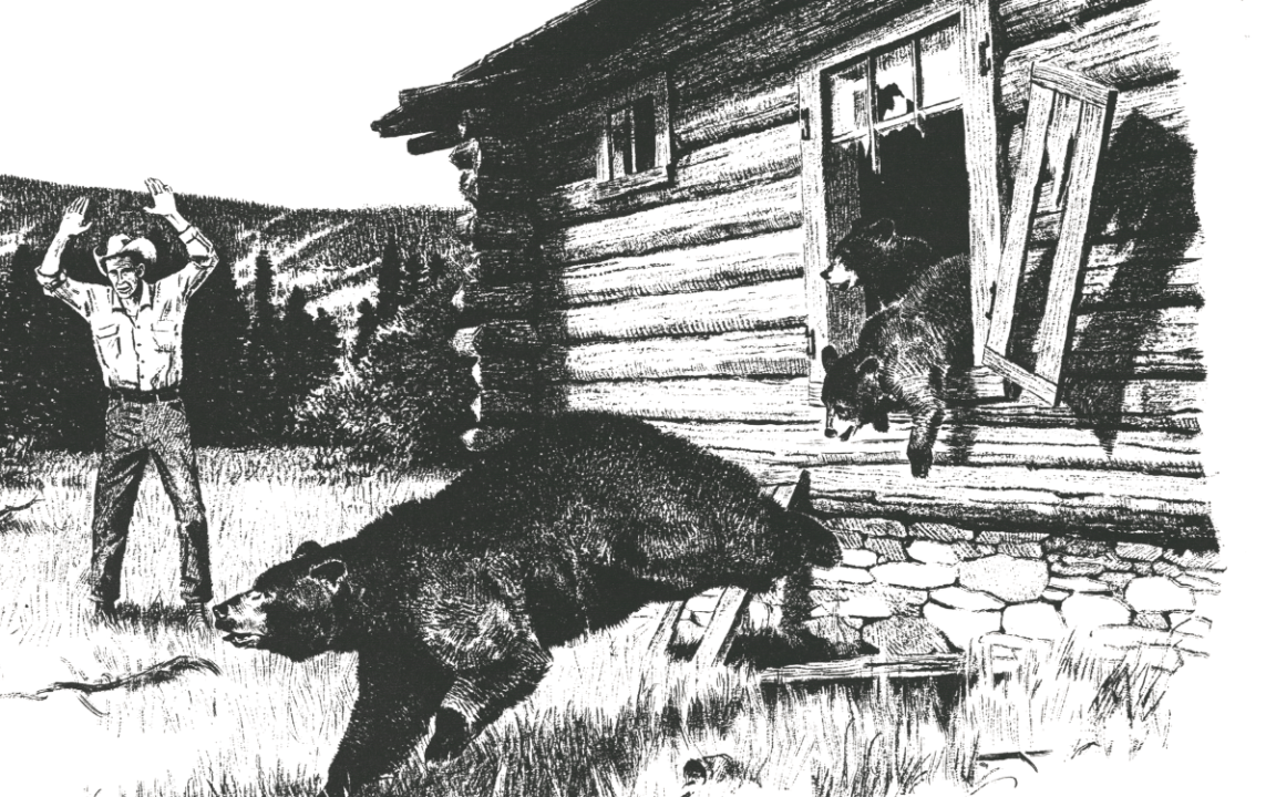 Fly fishing em território selvagem de Montana: trutas, logística de campo e um impasse técnico com ursos-pretos - Imagem do artigo original