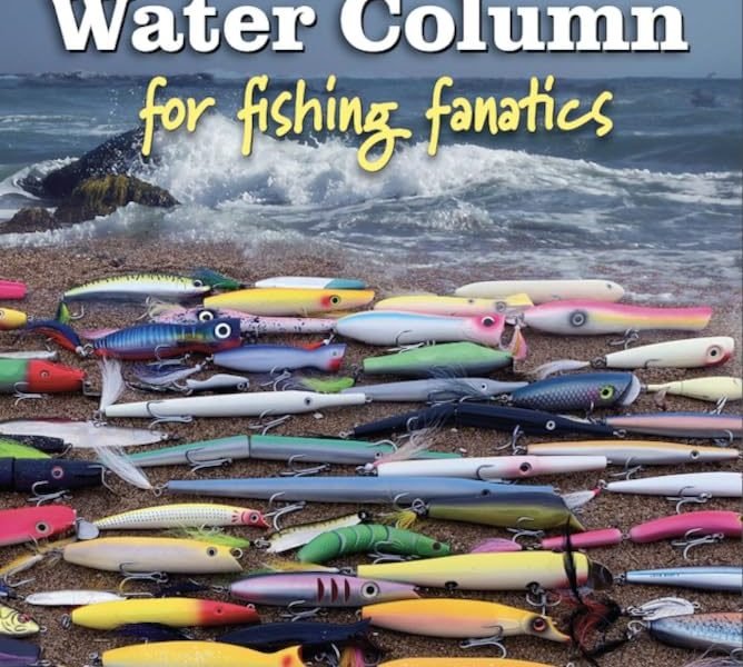 Plugues para Toda a Coluna d’Água: lições de “Plugging the Water Column” aplicadas ao surfcasting brasileiro - Imagem do artigo original