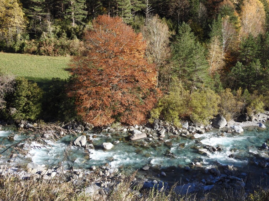 Spanish Pyrenees; Autumn Trout Fishing in the Pyrenees – Aardvark Mcleod - Imagem do artigo original